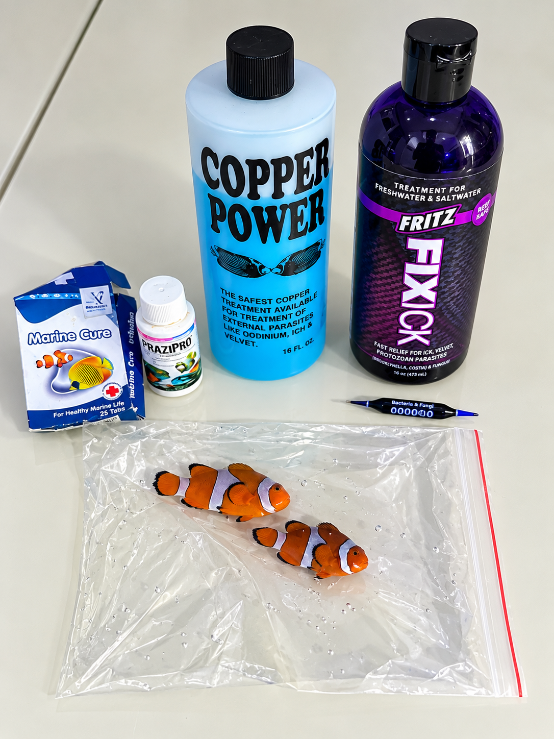 Medications + two clownfish photo