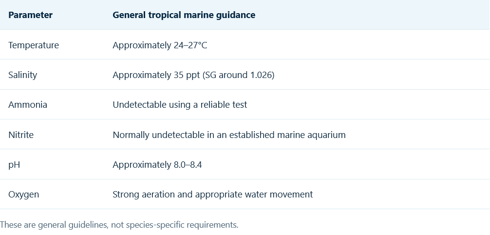 General Guidelines