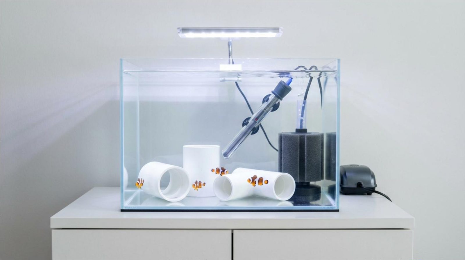 Hospital tank with medication bottles photo